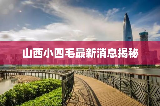 山西小四毛最新消息揭秘