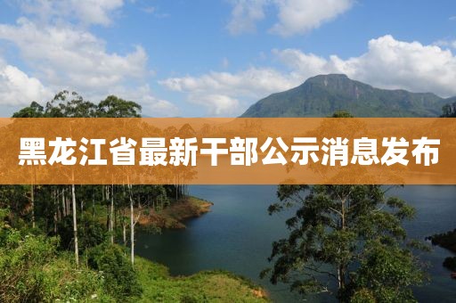 黑龙江省最新干部公示消息发布