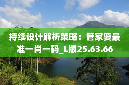 持续设计解析策略：管家婆最准一肖一码_L版25.63.66