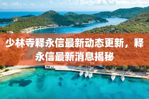 少林寺释永信最新动态更新，释永信最新消息揭秘