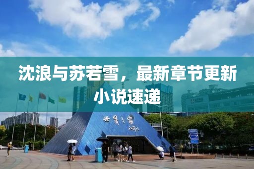 沈浪与苏若雪，最新章节更新小说速递