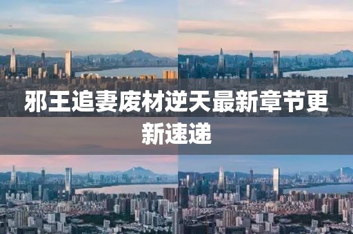邪王追妻废材逆天最新章节更新速递