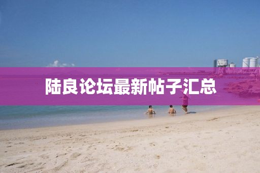 陆良论坛最新帖子汇总