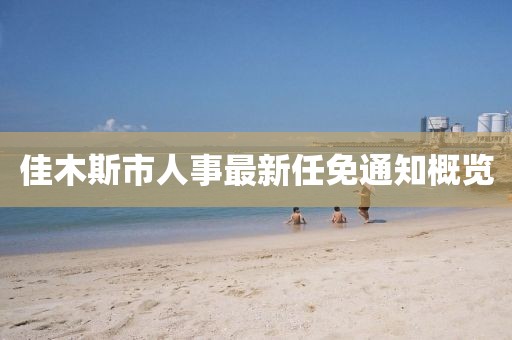 佳木斯市人事最新任免通知概览