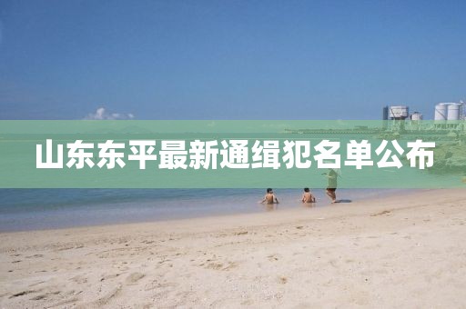 山东东平最新通缉犯名单公布