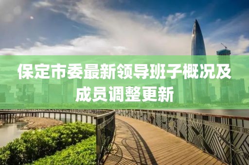保定市委最新领导班子概况及成员调整更新
