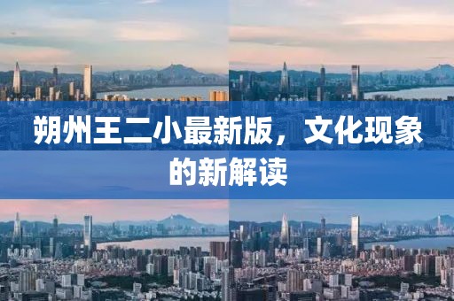朔州王二小最新版，文化现象的新解读