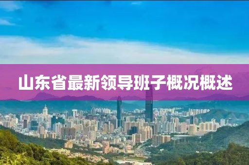 山东省最新领导班子概况概述