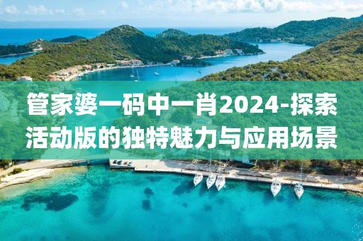 管家婆一码中一肖2024-探索活动版的独特魅力与应用场景
