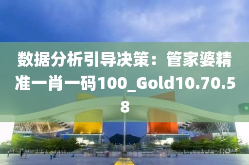 数据分析引导决策：管家婆精准一肖一码100_Gold10.70.58