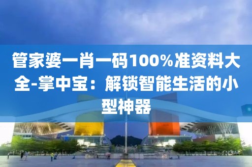 管家婆一肖一码100%准资料大全-掌中宝：解锁智能生活的小型神器