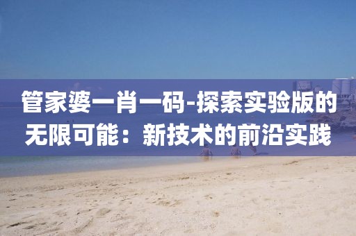 管家婆一肖一码-探索实验版的无限可能：新技术的前沿实践