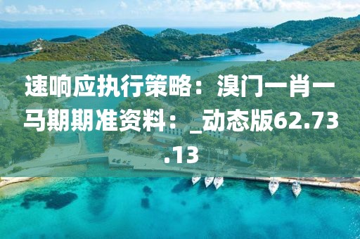 速响应执行策略：溴门一肖一马期期准资料：_动态版62.73.13
