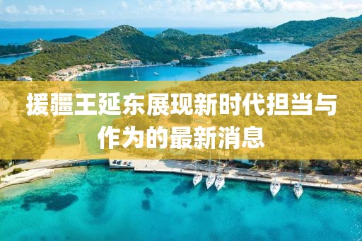 援疆王延东展现新时代担当与作为的最新消息