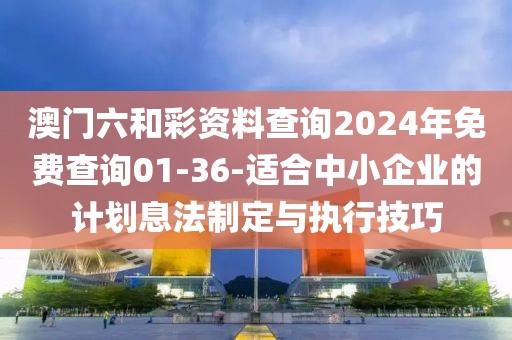 澳门六和彩资料查询2024年免费查询01-36-适合中小企业的计划息法制定与执行技巧