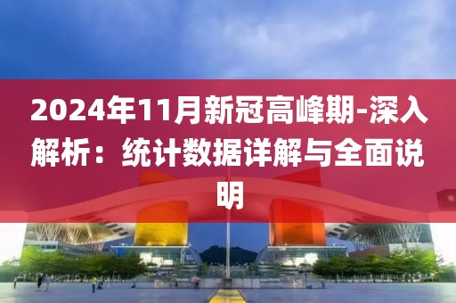 2024年11月新冠高峰期-深入解析：统计数据详解与全面说明