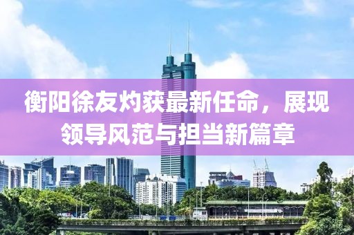 衡阳徐友灼获最新任命，展现领导风范与担当新篇章