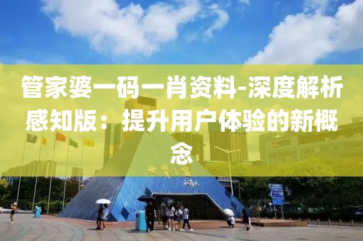 管家婆一码一肖资料-深度解析感知版：提升用户体验的新概念
