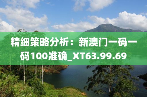 精细策略分析：新澳门一码一码100准确_XT63.99.69