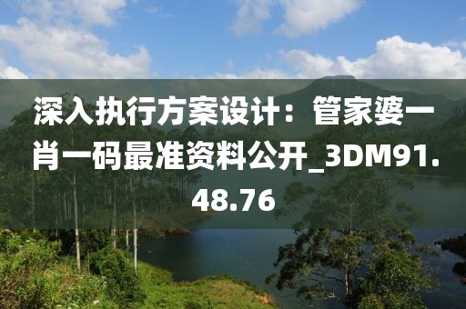 深入执行方案设计：管家婆一肖一码最准资料公开_3DM91.48.76