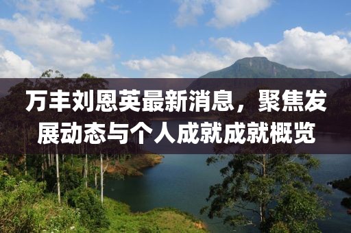 万丰刘恩英最新消息，聚焦发展动态与个人成就成就概览