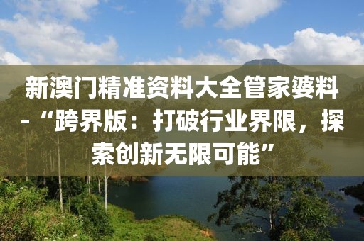 新澳门精准资料大全管家婆料-“跨界版：打破行业界限，探索创新无限可能”