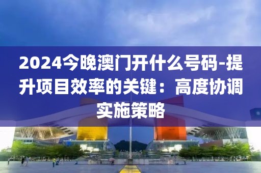 2024今晚澳门开什么号码-提升项目效率的关键：高度协调实施策略