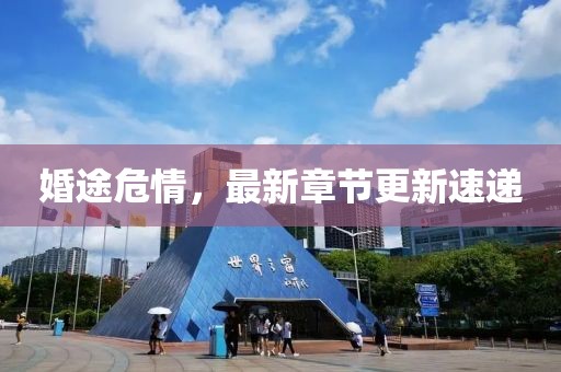 婚途危情，最新章节更新速递