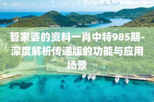 管家婆的资料一肖中特985期-深度解析传递版的功能与应用场景