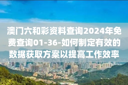 澳门六和彩资料查询2024年免费查询01-36-如何制定有效的数据获取方案以提高工作效率