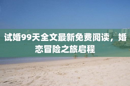 试婚99天全文最新免费阅读，婚恋冒险之旅启程
