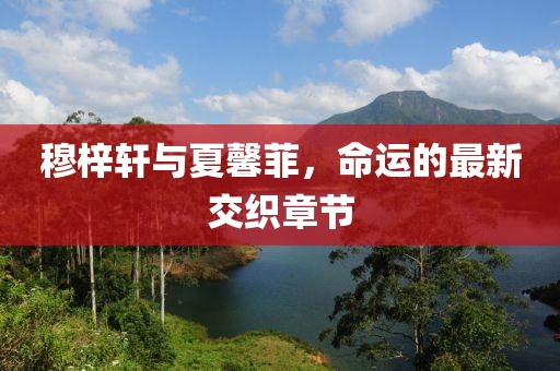 穆梓轩与夏馨菲，命运的最新交织章节