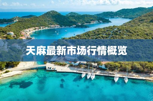 天麻最新市场行情概览