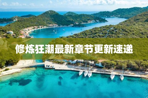修炼狂潮最新章节更新速递