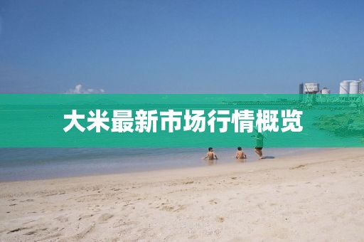 大米最新市场行情概览