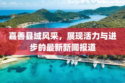 嘉善县域风采，展现活力与进步的最新新闻报道