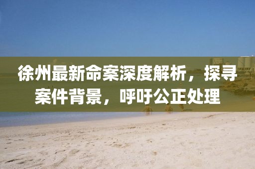 徐州最新命案深度解析，探寻案件背景，呼吁公正处理
