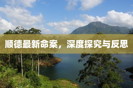 顺德最新命案，深度探究与反思