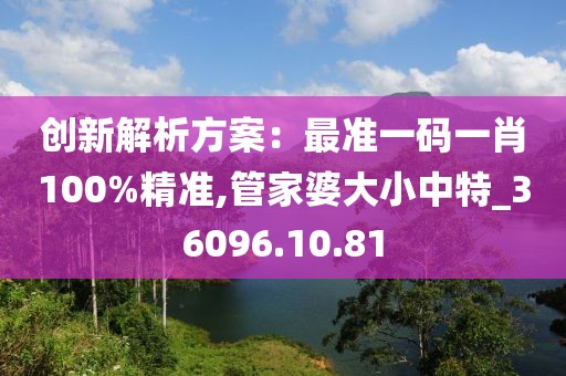 创新解析方案：最准一码一肖100%精准,管家婆大小中特_36096.10.81