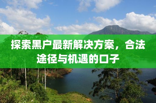 探索黑户最新解决方案，合法途径与机遇的口子