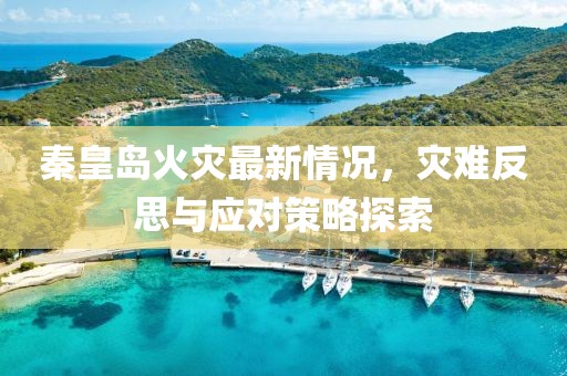 秦皇岛火灾最新情况，灾难反思与应对策略探索