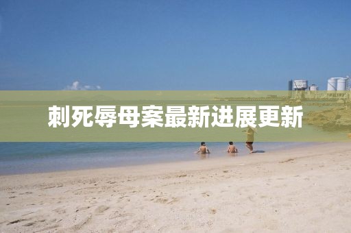 魅影风随 第4页