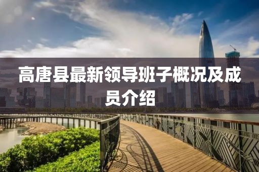 高唐县最新领导班子概况及成员介绍