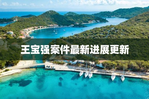 王宝强案件最新进展更新