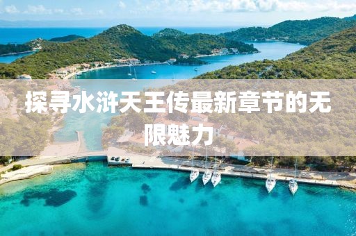 探寻水浒天王传最新章节的无限魅力