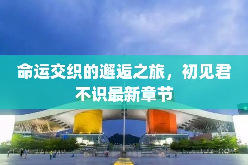 命运交织的邂逅之旅，初见君不识最新章节