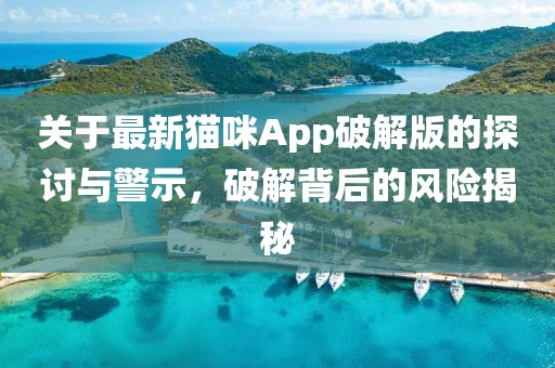 关于最新猫咪App破解版的探讨与警示，破解背后的风险揭秘