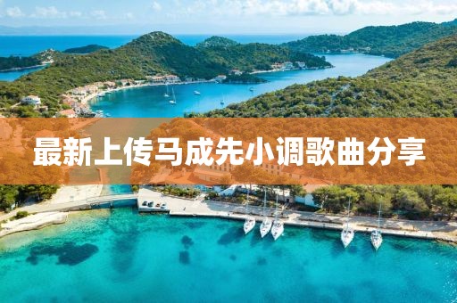 最新上传马成先小调歌曲分享