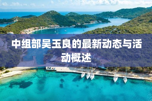 中组部吴玉良的最新动态与活动概述