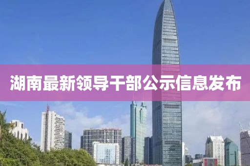 湖南最新领导干部公示信息发布